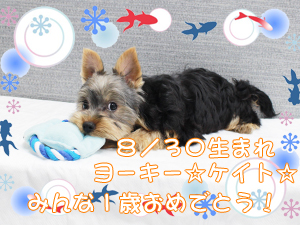 この夏で１歳になりました☆～８月～